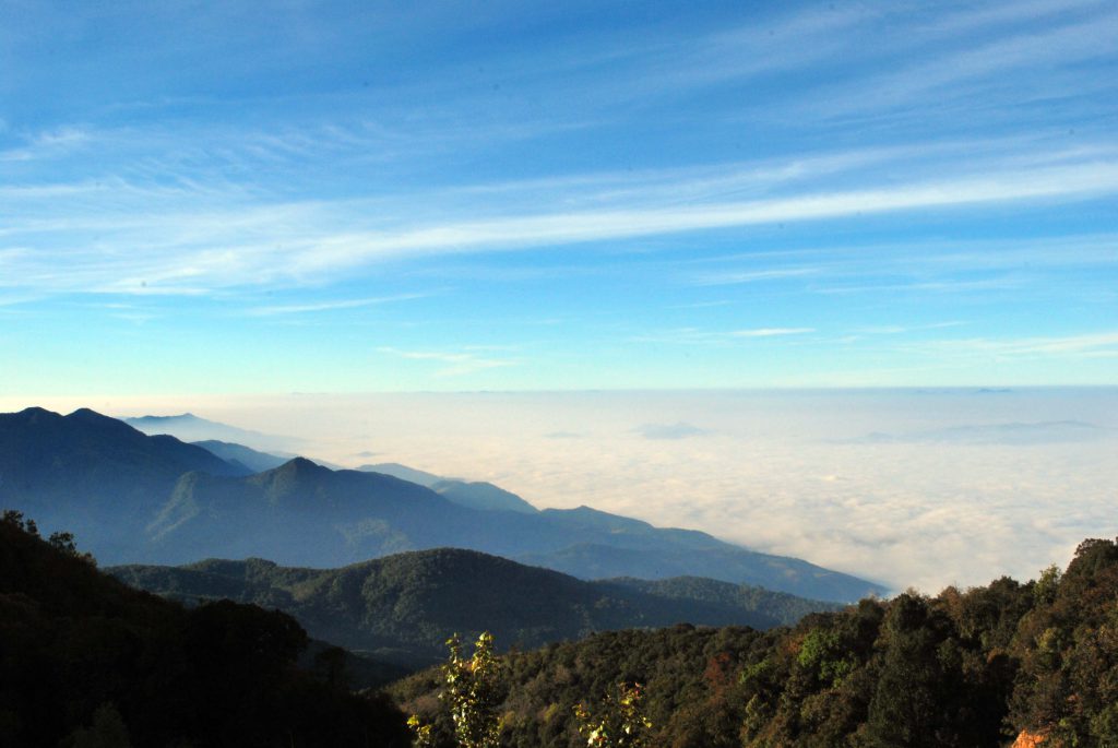 doi inthanon cold