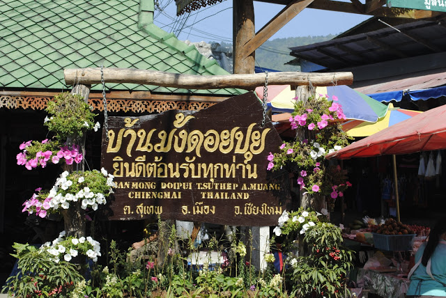mong doi pui