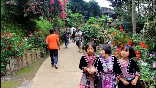 mong-doi-pui