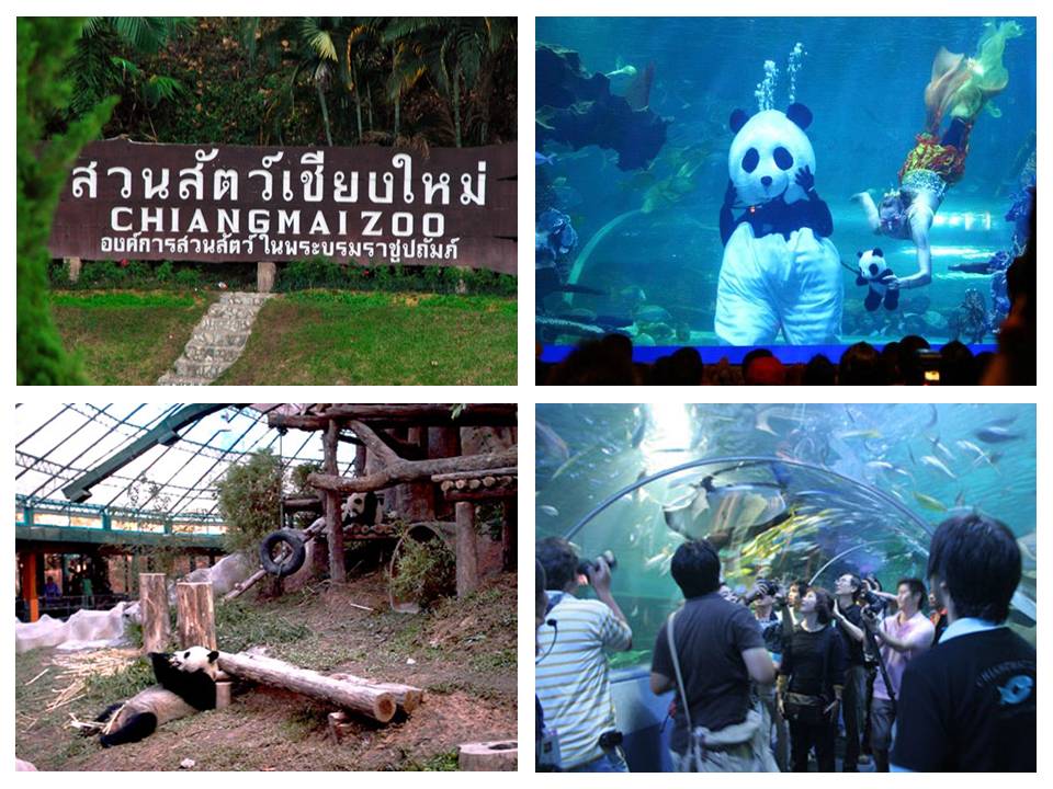 chiangmai-zoo