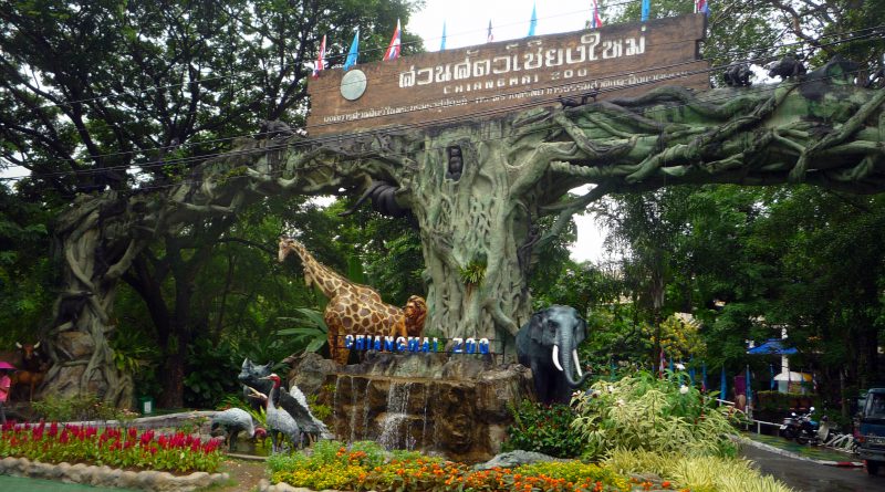 chiangmai-zoo1