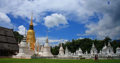 wat-suan-dok1