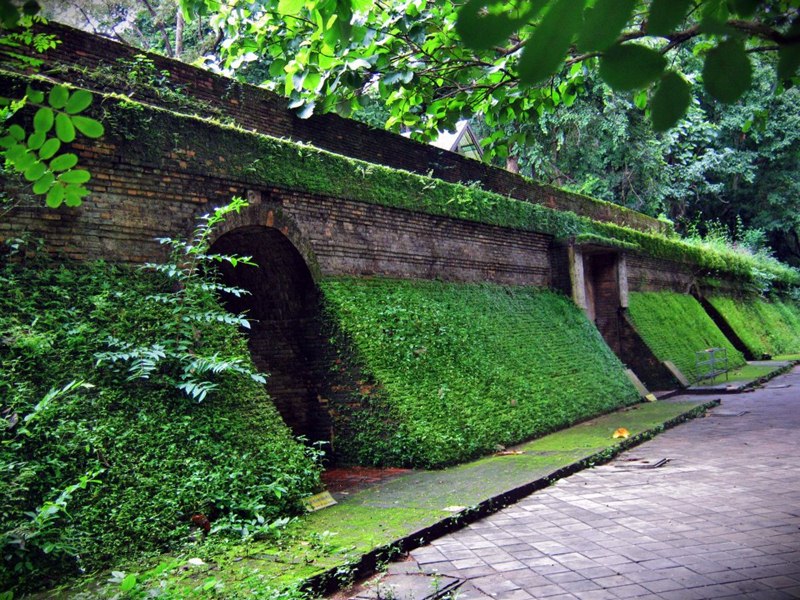 wat-umong1